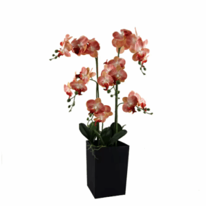 Artificial Plant Potted Simulated butterfly Orchid Shooting Background Indoor Decoration Simulated Flower Artificial Flower SKU-2025-003