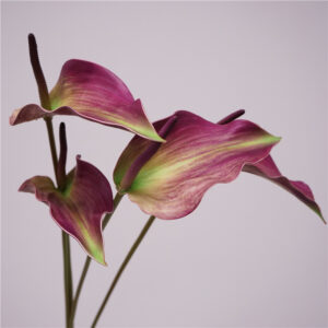 High Quality Artificial Anthurium and Alocasia Arrangement Flowers, Real Touch Soft Latex Leaves, Morandi Floral Accent for Wedding, Home Styling and Photo Props SKU: SINO-0128