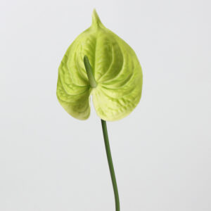 Factory Direct PU Red Anthurium Artificial Flower Real Touch Faux Flamingo Flower for Home Decor & Floral Arrangement SKU: SINO-0191